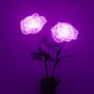 Meet your Posher, Kyra